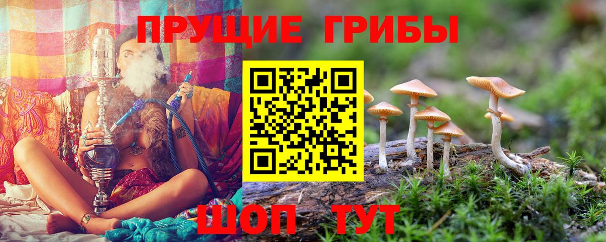 Городец  Галлюциногенные грибы мухоморы  Вход с VPN 