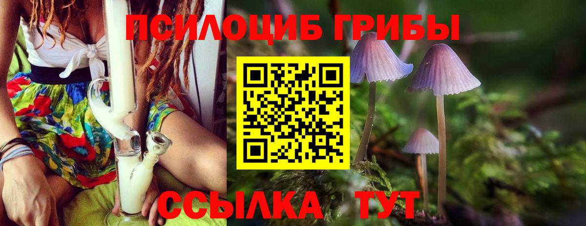 Галлюциногенные грибы Magic Shrooms Городец