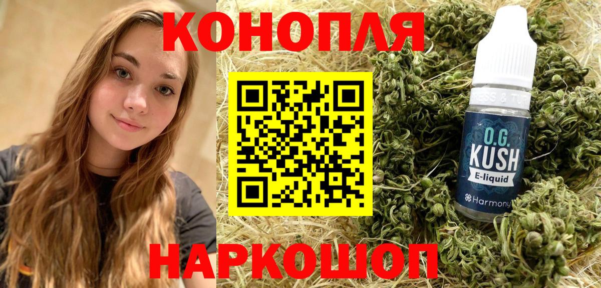 Городец  Шишки марихуана тримм  Марихуана VHQ  Вход с VPN  Бошки Шишки Bruce Banner  Шишки марихуана план 
